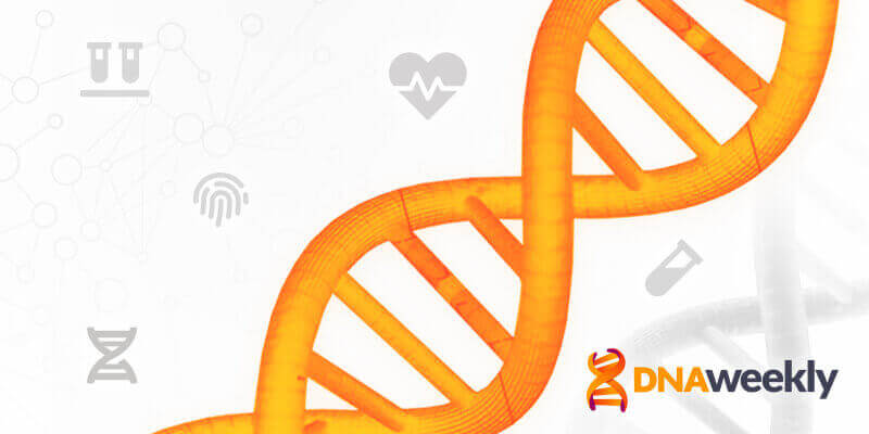 I 5 migliori test del DNA per ascendenza europea nel 2026